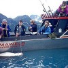 Halibut Charters in Ninilchik AK