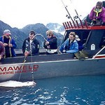 Halibut Charters in Ninilchik AK