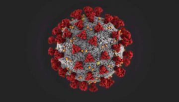 COVID-19 / Caronavirus Update