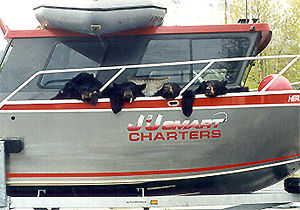 Alaska Bear Hunting by Boat