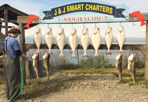 Deckhand Tim spraying down the Brunkhow Party's Halibut and Cod
