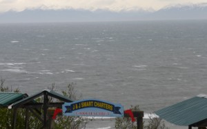 Small Craft Advisories again today...it's still May and we're getting wicked winds!