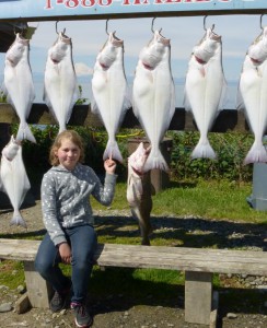Alia did an awesome job fishing and even pulled up this Pacific Cod with a 4-lb weight all by herself.  Way to go Alia!