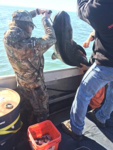 Scott captured this 5-foot Pacific Sleeper Shark on Monday!