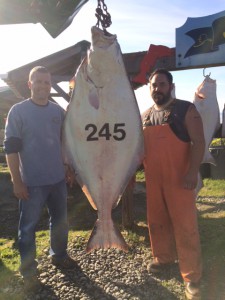 Tac caught this nice monster Halibut pictured with Captain Jason