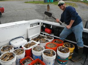 Great Clamming on West side of Cook Inlet near Polly Creek!