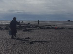 06-04-2016 Clamming (2)