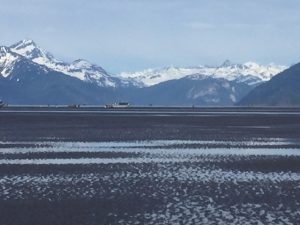06-04-2016 Clamming in H2