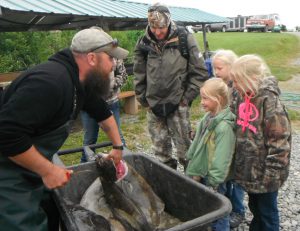 Checking out the catch.