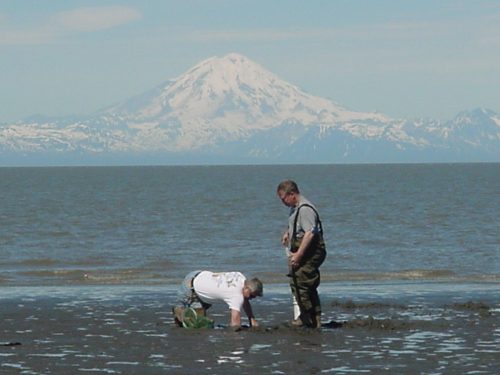 One person digging in the sand for a clam with another person watching and a mountain in the background