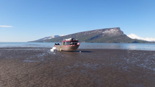 One of our boats near the shore