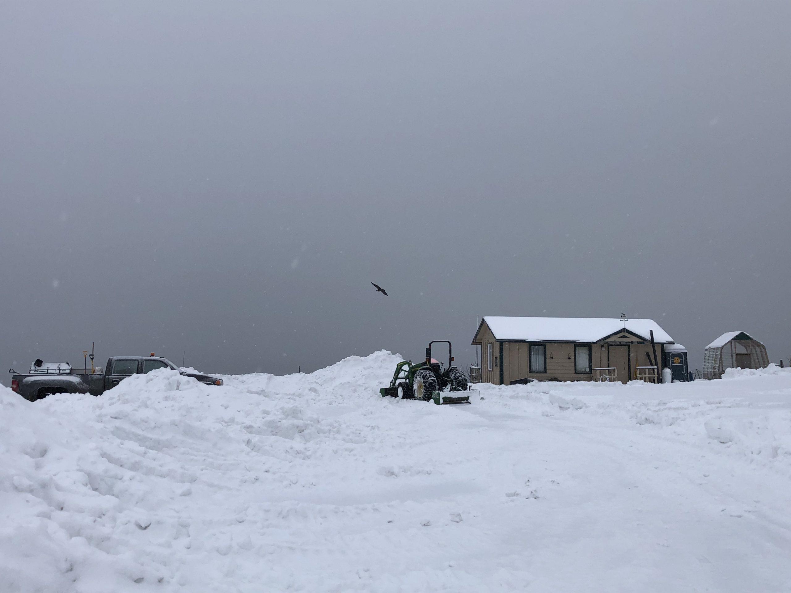 The campground covered in snow