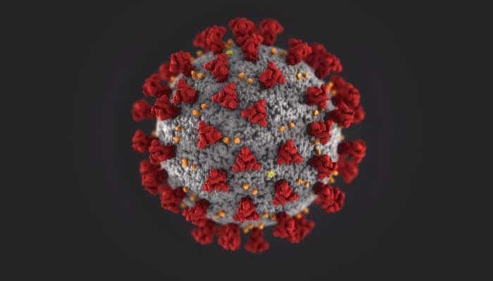 COVID-19 virus image for our Caronavirus Update