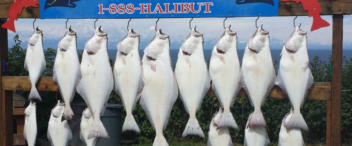 Lots of halibut hanging from our sign