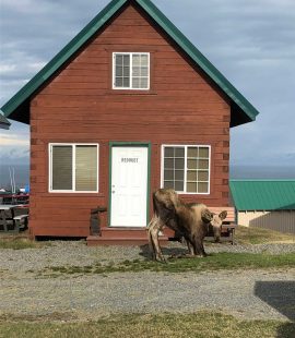 Redoubt Cabin